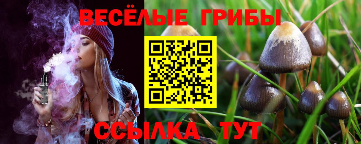 Галлюциногенные грибы Cubensis Усолье-Сибирское